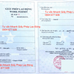 Cấp lại giấy phép lao động (work permit) cho người nước ngoài tại Việt Nam như thế nào?