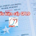 Điều kiện cấp giấy phép lao động cho người nước ngoài